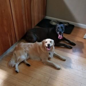 Meet your Posher, Katherine